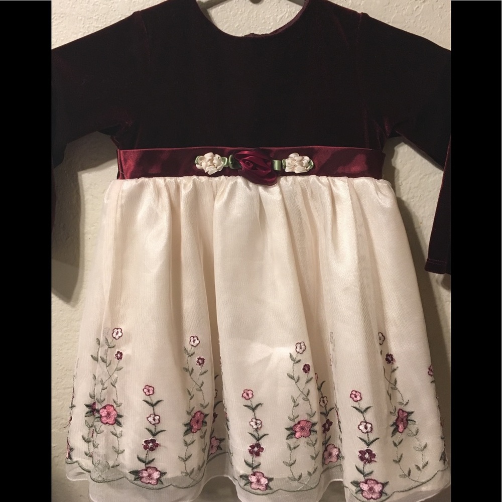 Burgundy Velvet dress